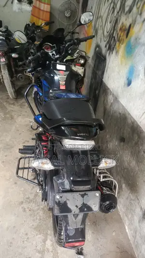 হিরো হাঙ্ক ২০২৪ ব্লু
