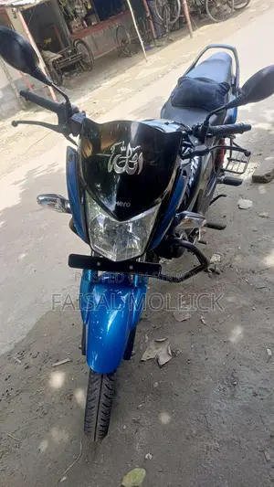 হিরো হাঙ্ক ২০২৪ ব্লু