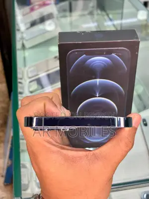 অ্যাপল আইফোন ১২ প্রো ম্যাক্স ২৫৬ জিবি ব্লু