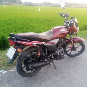 Bajaj Platina 100 2017 Red