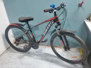 ফিনিক্স গিয়ার সাইকেল