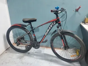 ফিনিক্স গিয়ার সাইকেল