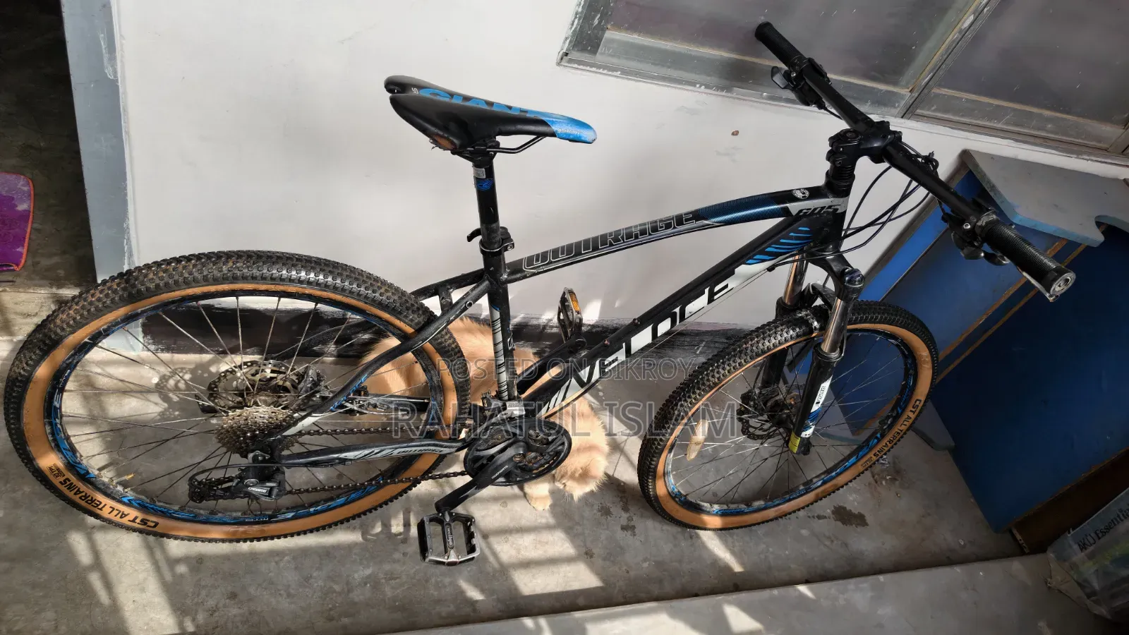 Veloce Outrage 605