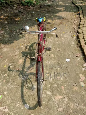 বাই সাইকেল