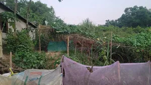 ৫ ডেসিমেল জমি বিক্রি