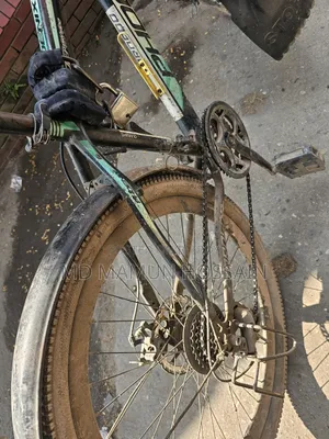 ফিনিক্স গিয়ার সাইকেল