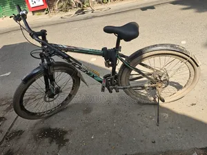 ফিনিক্স গিয়ার সাইকেল