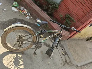ফিনিক্স গিয়ার সাইকেল