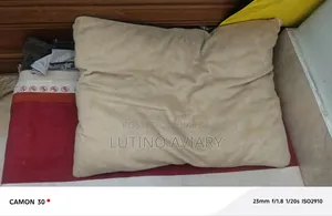 ৬-১২ মাসের ফিমেল পিওরব্রেড বিড়াল