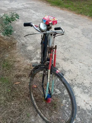 হিরো রয়েল সাইকেল