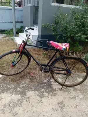 হিরো রয়েল সাইকেল