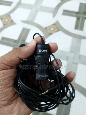 ওয়্যার্ড মাইক্রোফোন