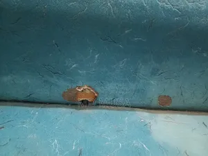 ব্যবহৃত সোফা কাম বেড বিক্রি হবে — কম দামে