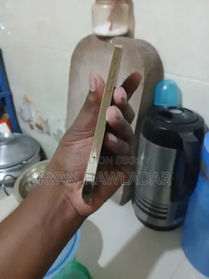 অ্যাপল আইফোন ১২ প্রো ২৫৬ জিবি গোল্ড