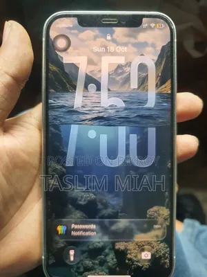 অ্যাপল আইফোন ১২ প্রো ২৫৬ জিবি হোয়াইট