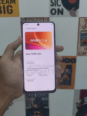 Vivo V30 Lite 256 GB Green