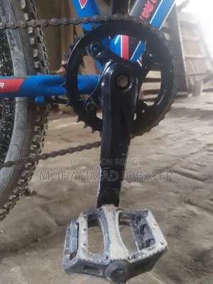 বাই সাইকেল
