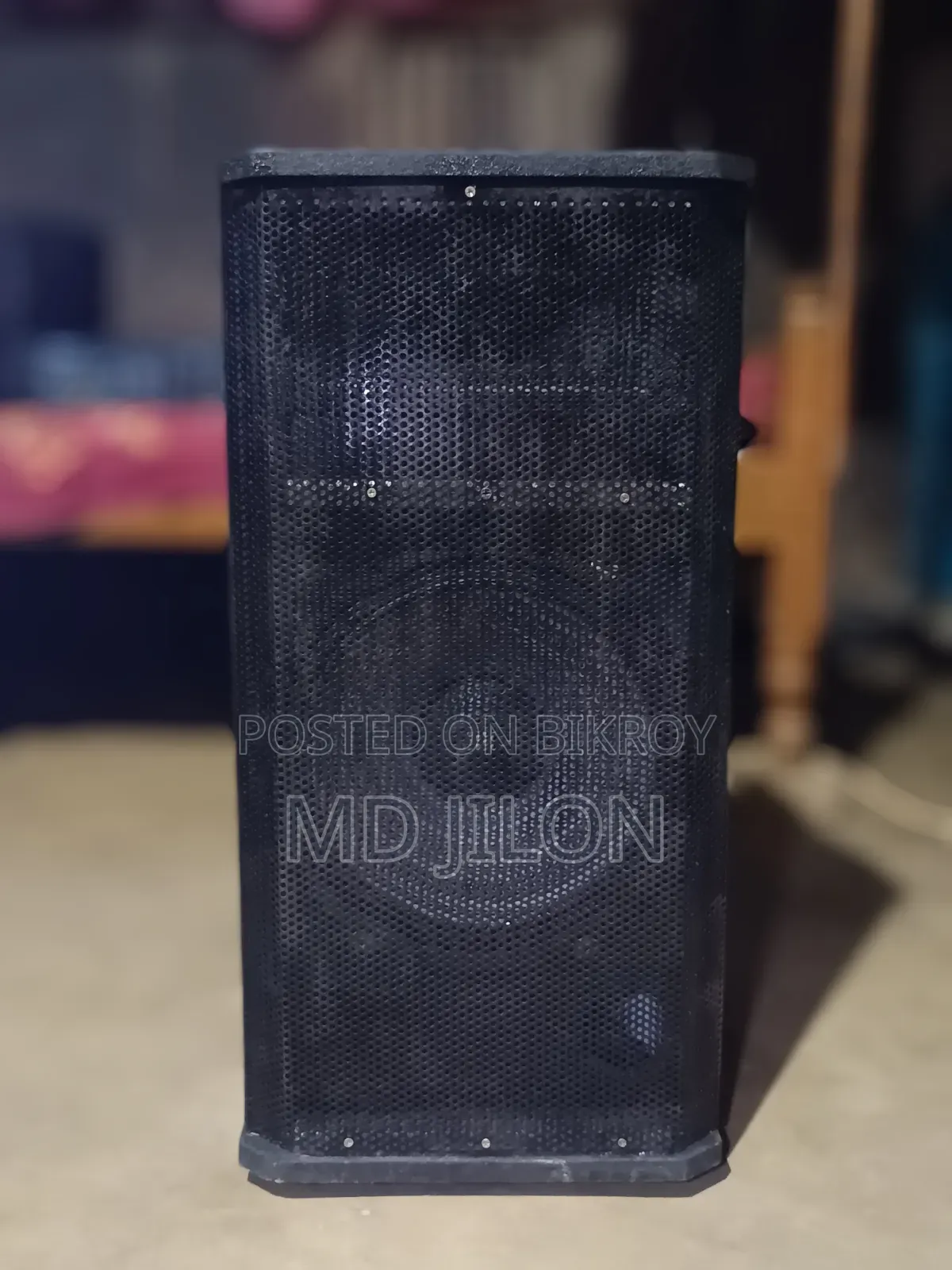12" Speaker With Amplifier