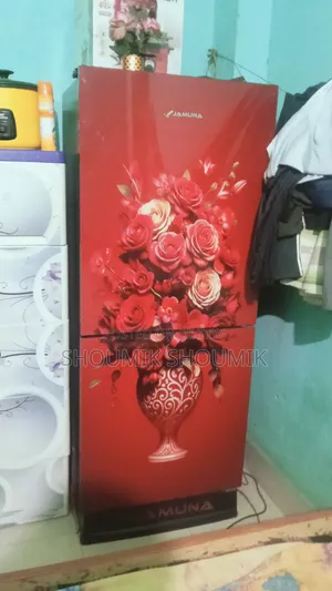 জরুরী টাকার প্রয়োজনে ফ্রিজটি বিক্রি করা হবে।