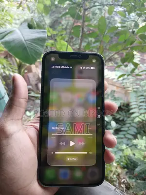 অ্যাপল আইফোন ১২ প্রো ১২৮ জিবি গ্রে