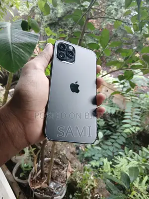 অ্যাপল আইফোন ১২ প্রো ১২৮ জিবি গ্রে