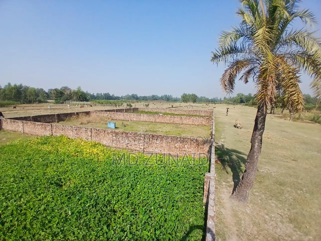 জমি বিক্রয়, Land Sale