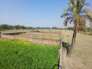 Land Sale, Land Sale