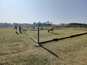 জমি বিক্রয়, Land Sale