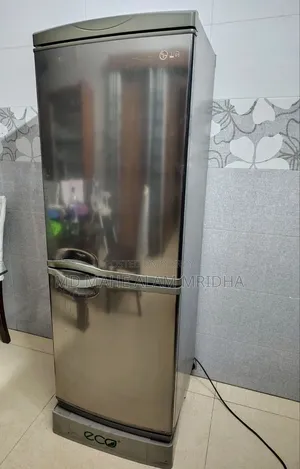 এলজি রেফ্রিজারেটর ২০৮ লিটার - বটম ফ্রিজার