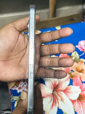 অ্যাপল আইফোন ১৬ প্রো ম্যাক্স ২৫৬ জিবি হোয়াইট