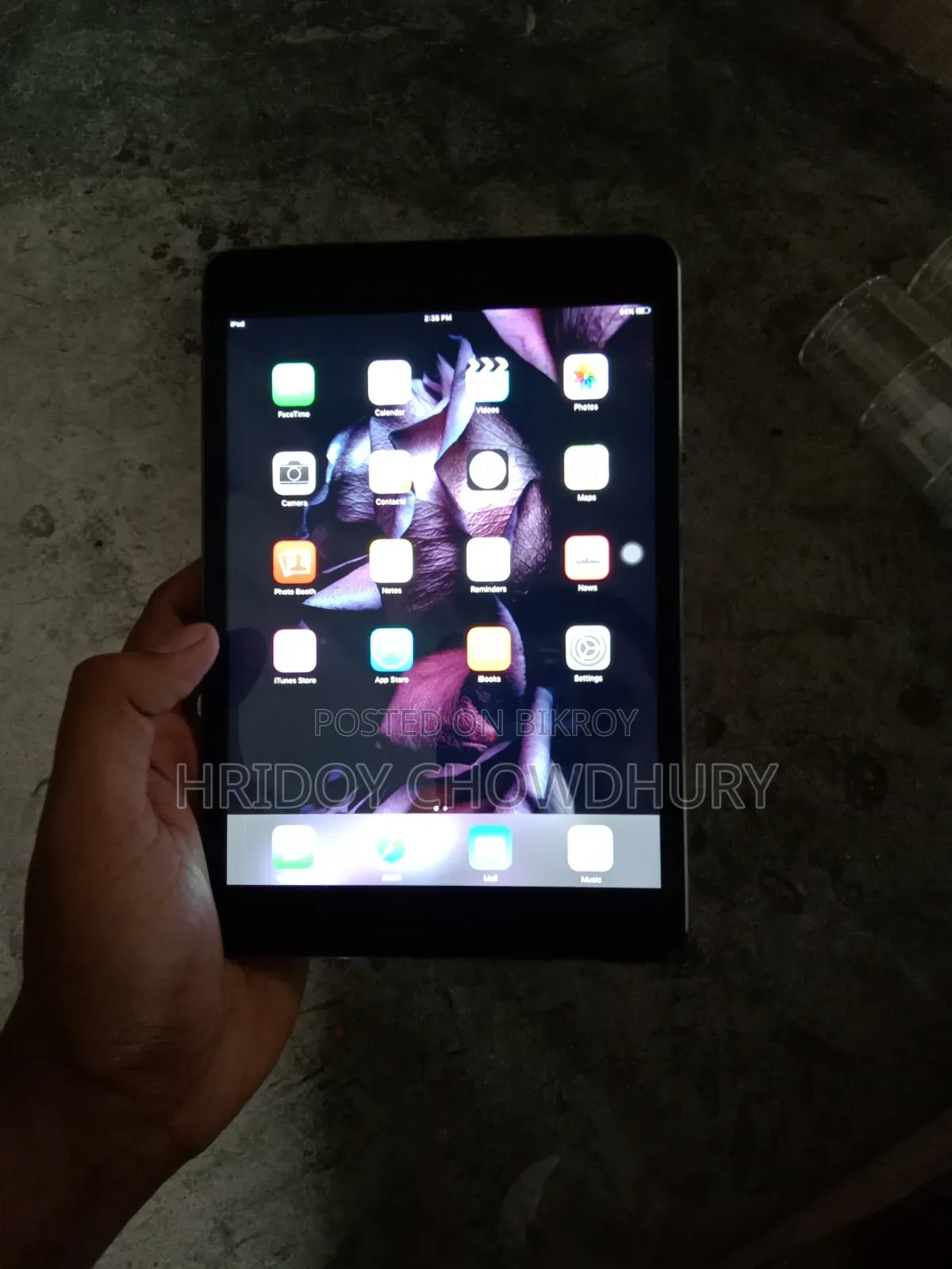Apple iPad Mini 16 GB Silver