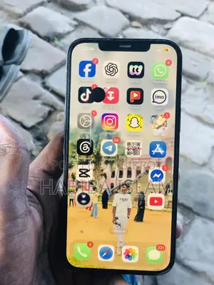 Apple iPhone 12 Pro Max 256 GB Gray