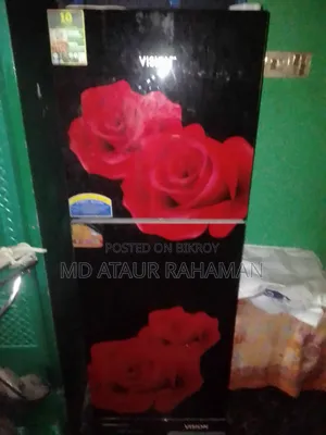 ভিসন ফ্রিজ
