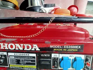 A very nice generator, I used to use it in the chicken coop,