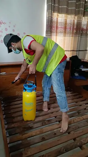 Professional Pest Control Services