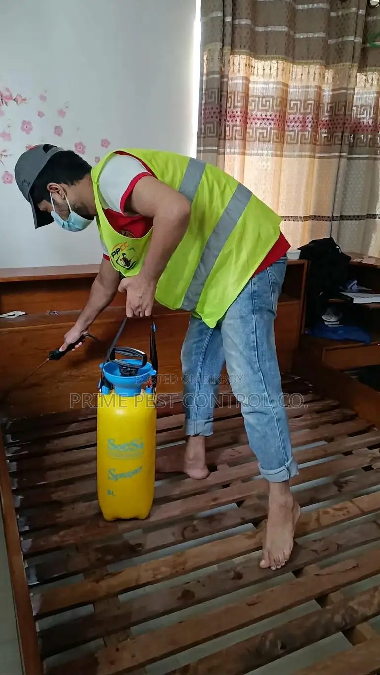 Professional Pest Control Services