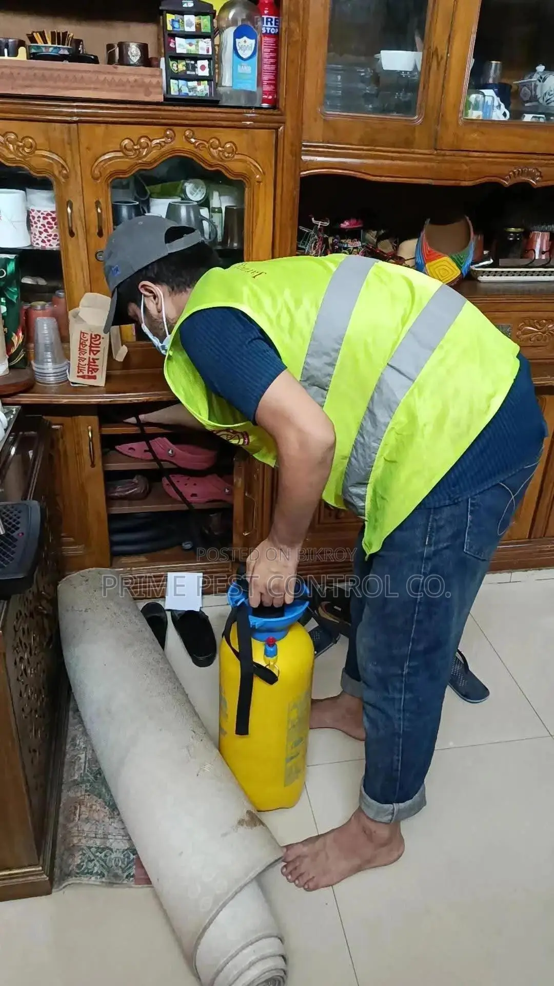 Professional Pest Control Services