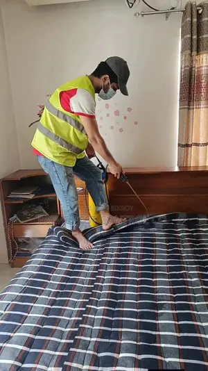 Professional Pest Control Services