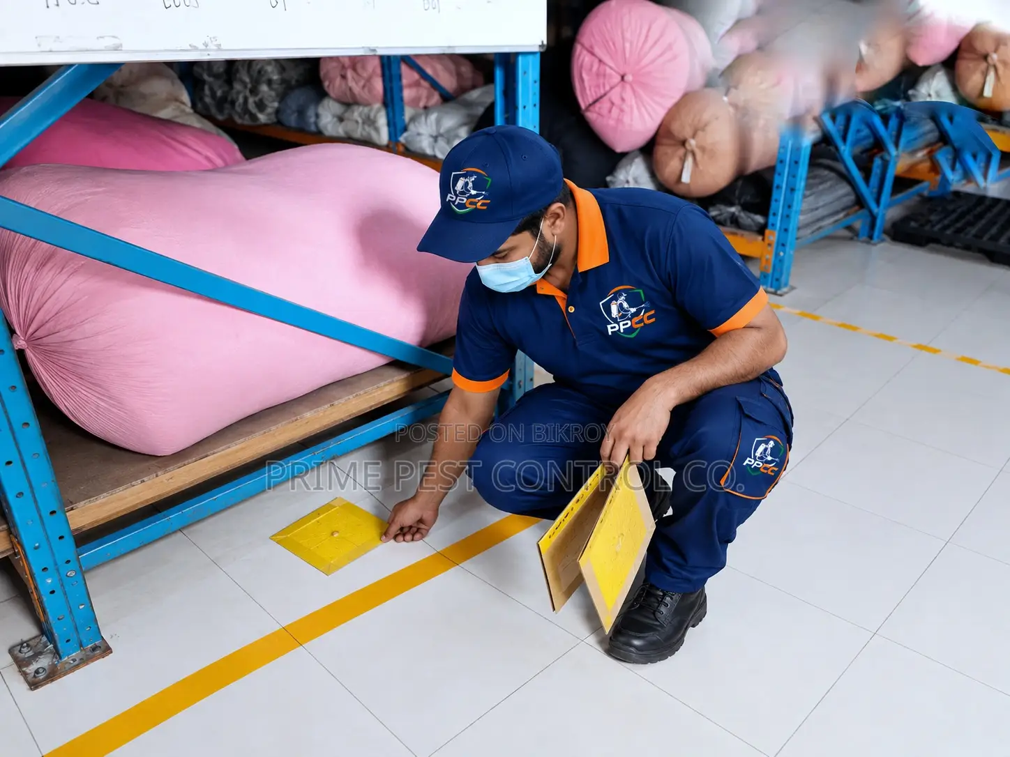 Professional Pest Control Services