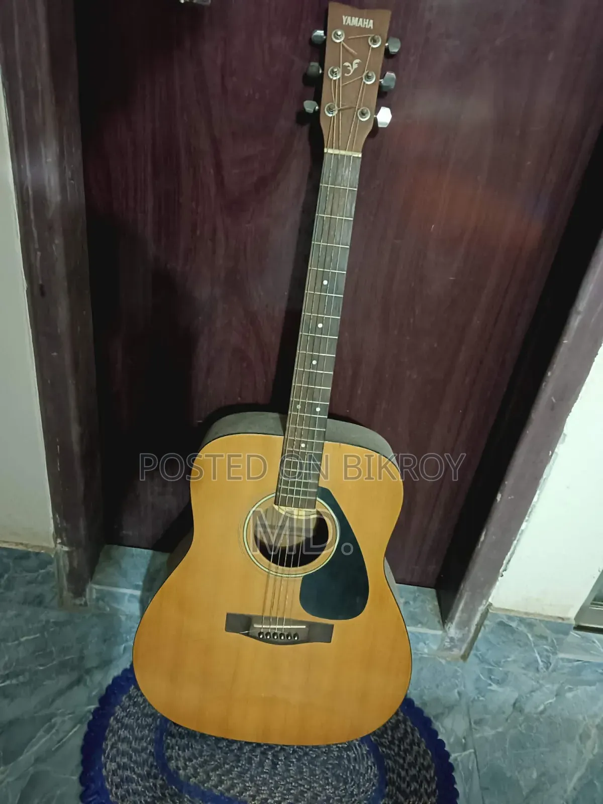 Acoustic Guitar
