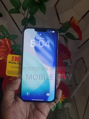 অ্যাপল আইফোন ১৩ প্রো ম্যাক্স ২৫৬ জিবি গ্রে