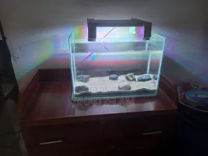 Aquarium For Sale Bro