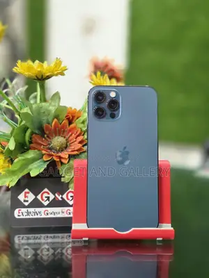 অ্যাপল আইফোন ১২ প্রো ম্যাক্স ২৫৬ জিবি নীল