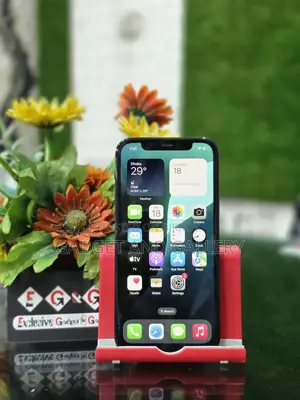 Apple iPhone 12 Pro Max 256 GB Blue