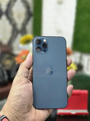 Apple iPhone 12 Pro Max 256 GB Blue