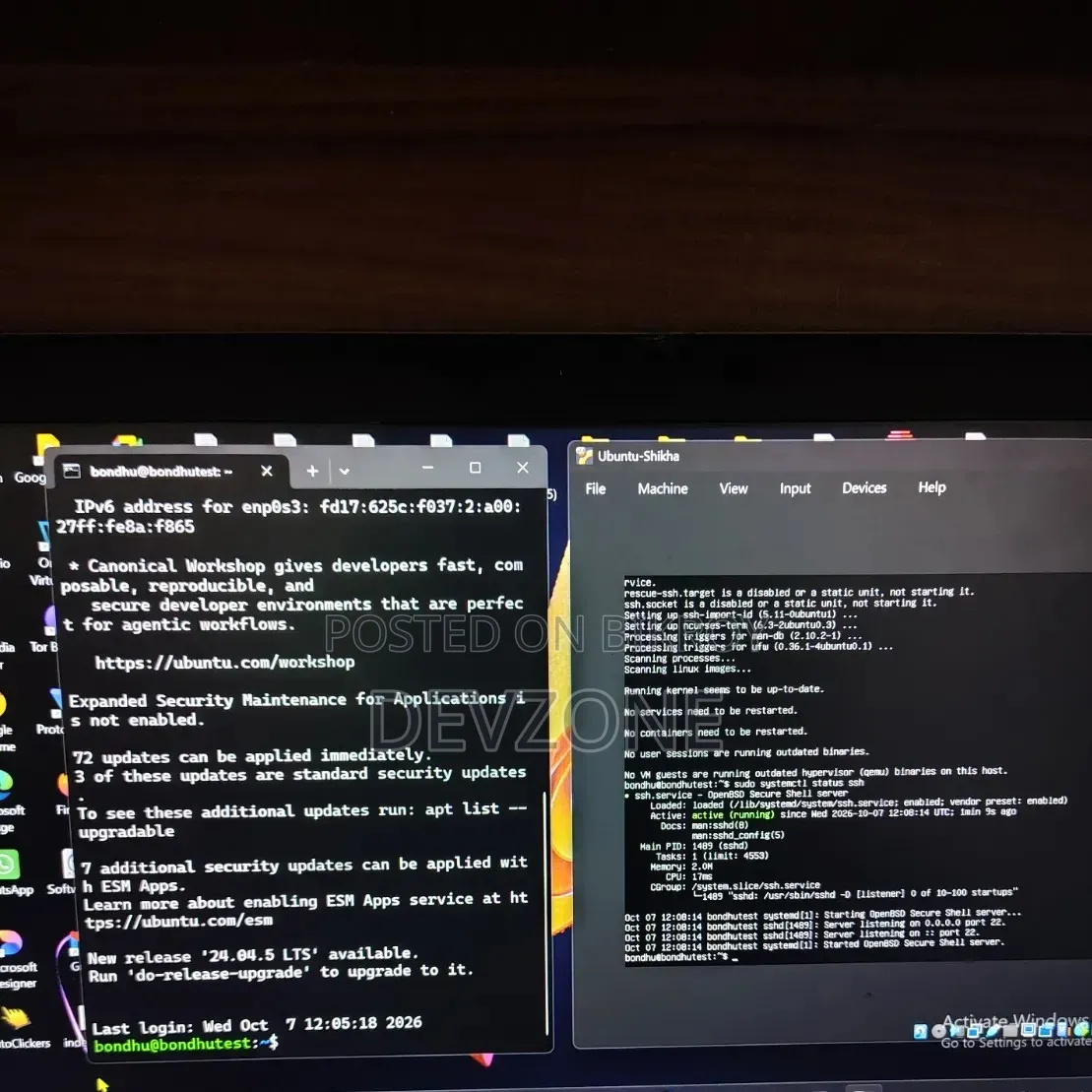 Customized Website & Apps Development