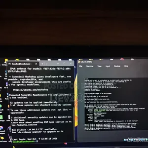 Customized Website & Apps Development