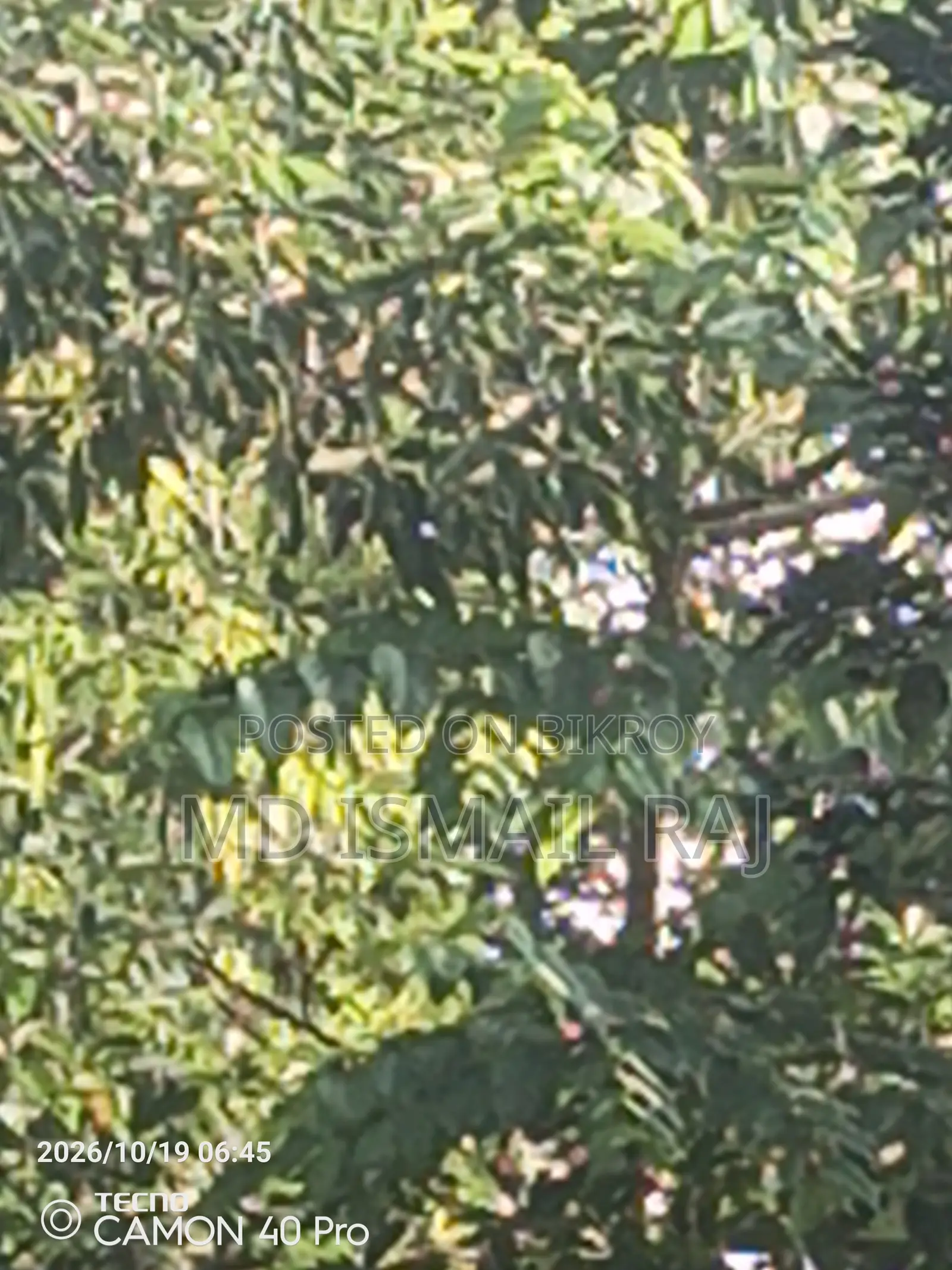 টেকনো ক্যামন ৪০ ২৫৬ জিবি ব্ল্যাক