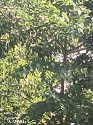 টেকনো ক্যামন ৪০ ২৫৬ জিবি ব্ল্যাক