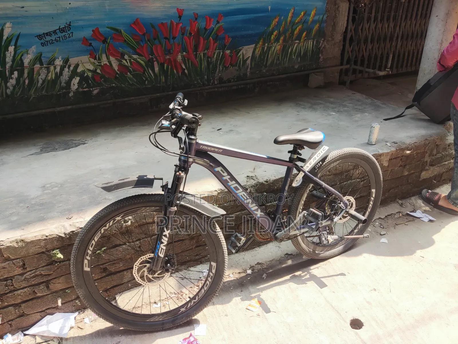 Phoneix Tropper Cycle New